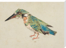 Load image into Gallery viewer, Italian School, Kingfisher
