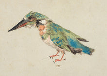Load image into Gallery viewer, Italian School, Kingfisher
