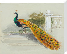 Load image into Gallery viewer, Myles Birket Foster, Peacock
