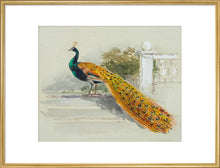 Load image into Gallery viewer, Myles Birket Foster, Peacock

