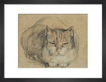Load image into Gallery viewer, David Wilkie, Cat - study for &#39;The Cut Finger&#39;
