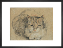Load image into Gallery viewer, David Wilkie, Cat - study for &#39;The Cut Finger&#39;
