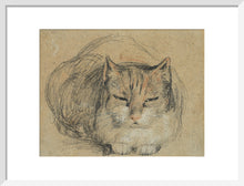Load image into Gallery viewer, David Wilkie, Cat - study for &#39;The Cut Finger&#39;

