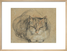 Load image into Gallery viewer, David Wilkie, Cat - study for &#39;The Cut Finger&#39;

