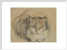 Load image into Gallery viewer, David Wilkie, Cat - study for &#39;The Cut Finger&#39;
