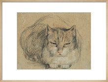 Load image into Gallery viewer, David Wilkie, Cat - study for &#39;The Cut Finger&#39;
