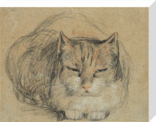 Load image into Gallery viewer, David Wilkie, Cat - study for &#39;The Cut Finger&#39;
