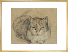 Load image into Gallery viewer, David Wilkie, Cat - study for &#39;The Cut Finger&#39;
