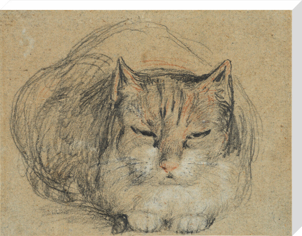Cat - study for 'The Cut Finger' (stretched canvas, large, unframed)
