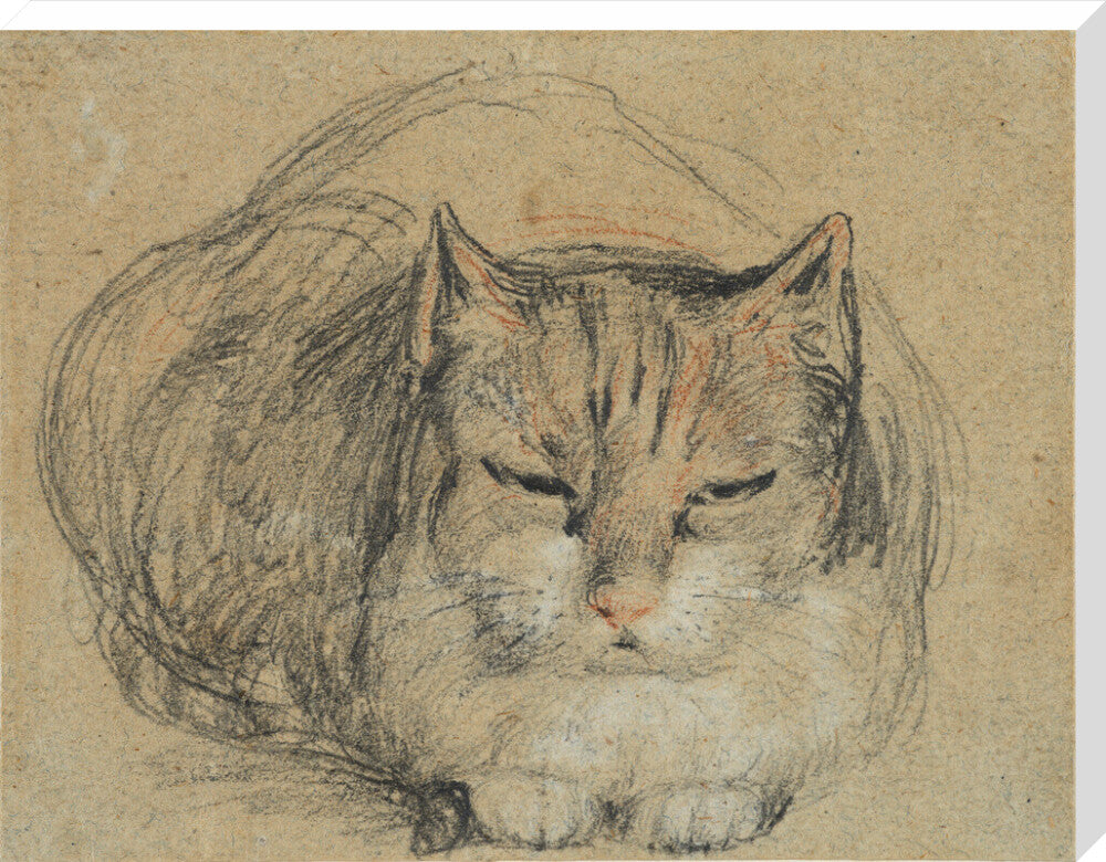 Cat - study for 'The Cut Finger' (stretched canvas, extra large, unframed)