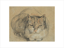 Load image into Gallery viewer, David Wilkie, Cat - study for &#39;The Cut Finger&#39;
