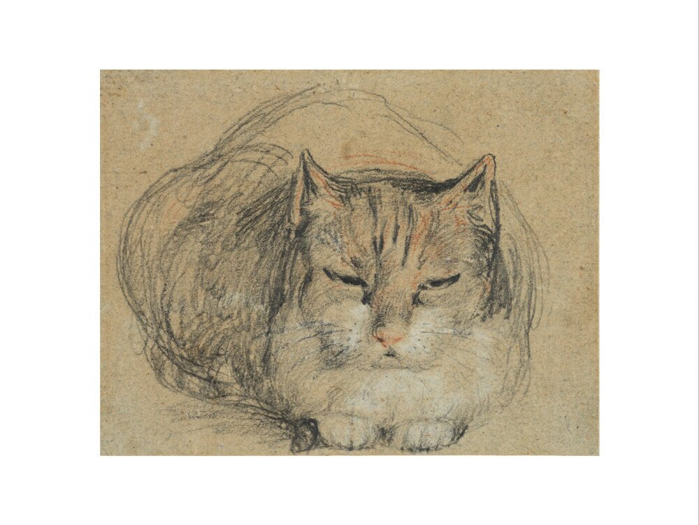 Cat - study for 'The Cut Finger' (art print, medium, unframed)