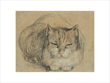 Load image into Gallery viewer, David Wilkie, Cat - study for &#39;The Cut Finger&#39;
