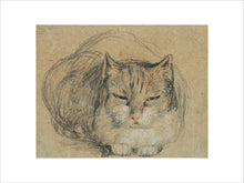 Load image into Gallery viewer, David Wilkie, Cat - study for &#39;The Cut Finger&#39;
