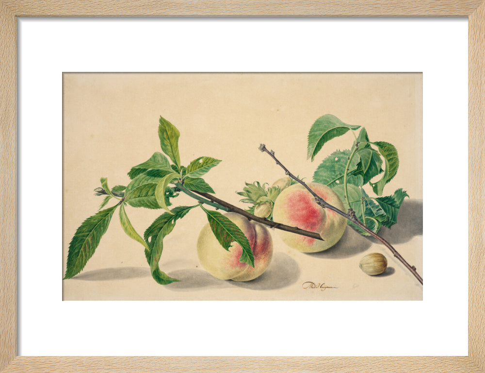 Still life with peaches and hazlenuts (art print, small, natural)