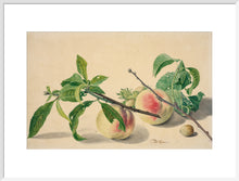 Load image into Gallery viewer, Michiel van Huysum, Still life with peaches and hazlenuts
