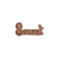 Vinyl Sticker Seurat Signature