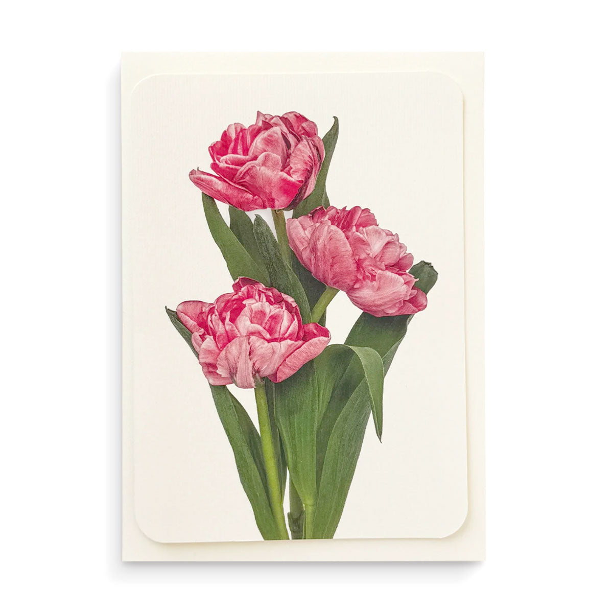 Greetings Card Pink Tulips