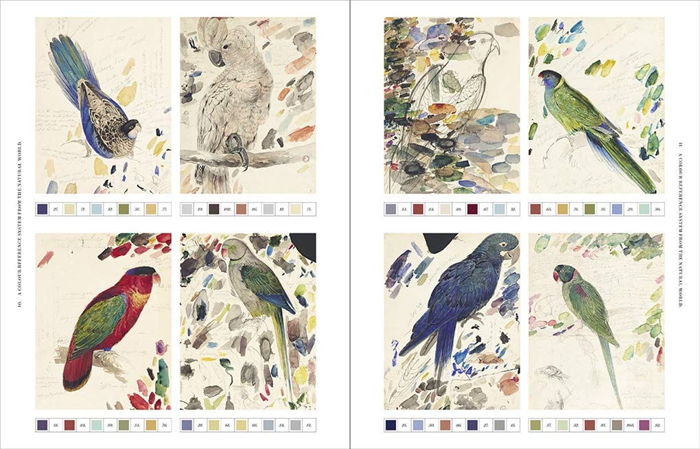 Nature's Palette: A colour reference system from the natural world