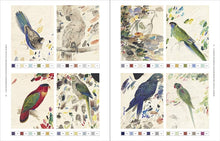 Load image into Gallery viewer, Nature&#39;s Palette: A colour reference system from the natural world
