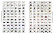 Load image into Gallery viewer, Nature&#39;s Palette: A colour reference system from the natural world

