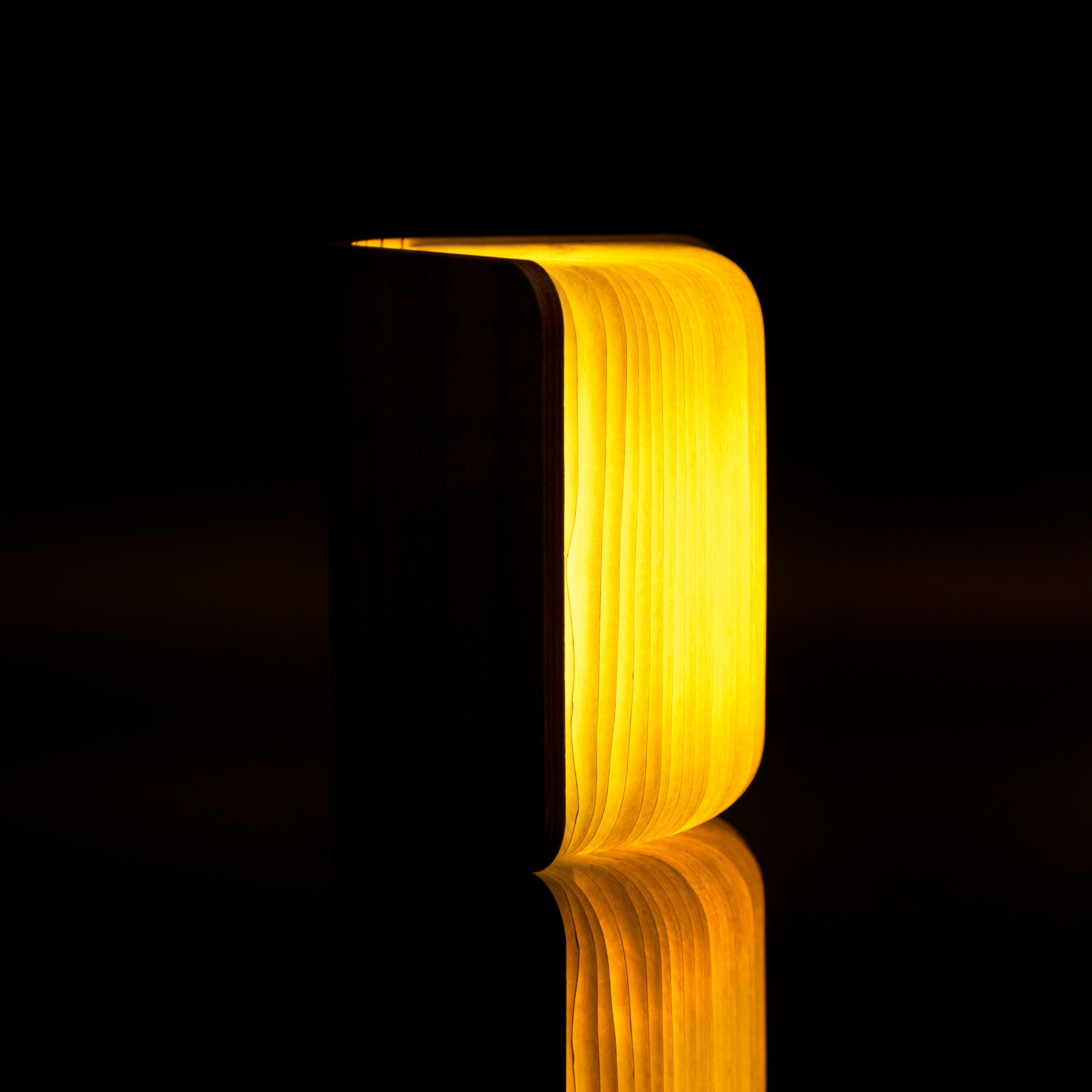 Maple Small Book Light