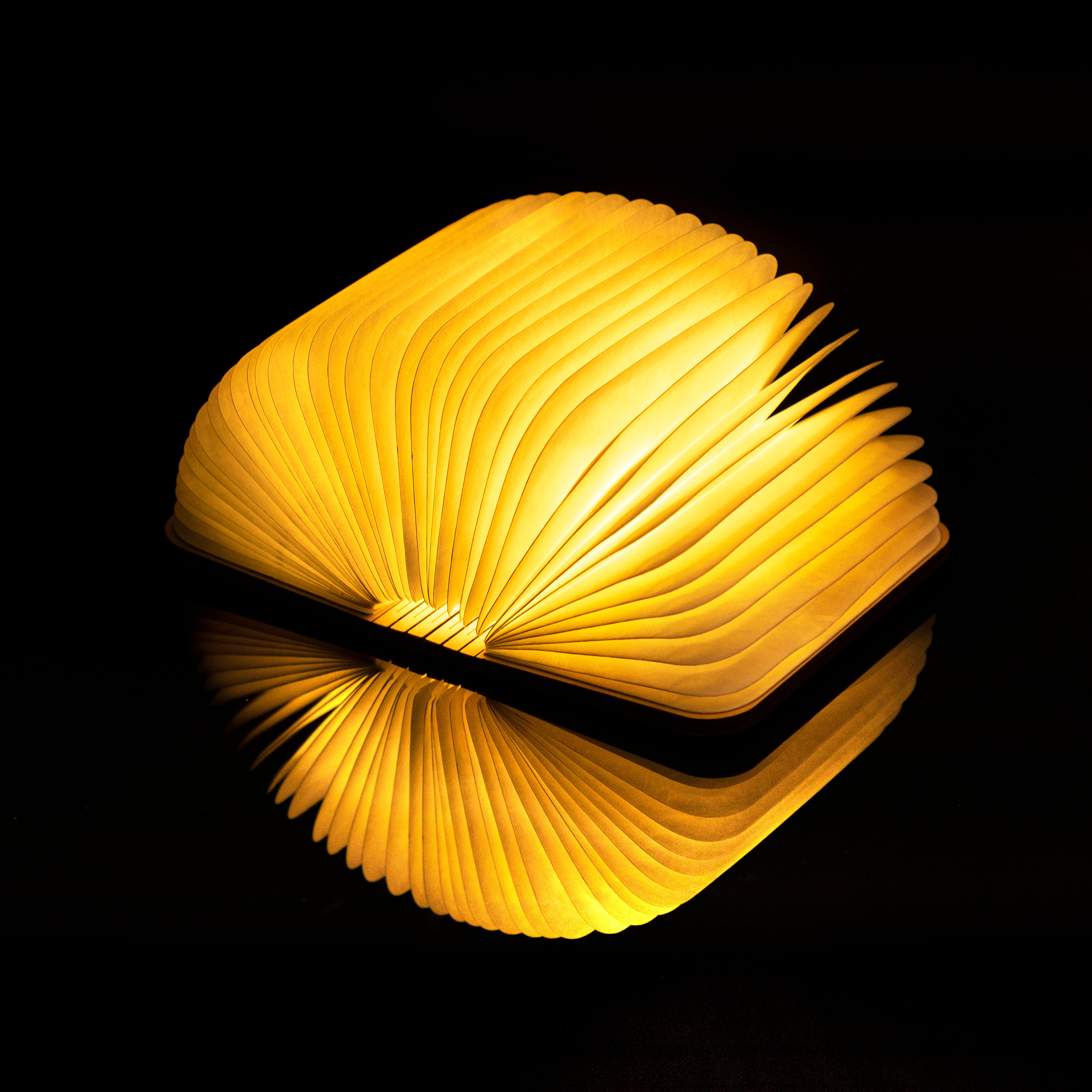 Maple Small Book Light