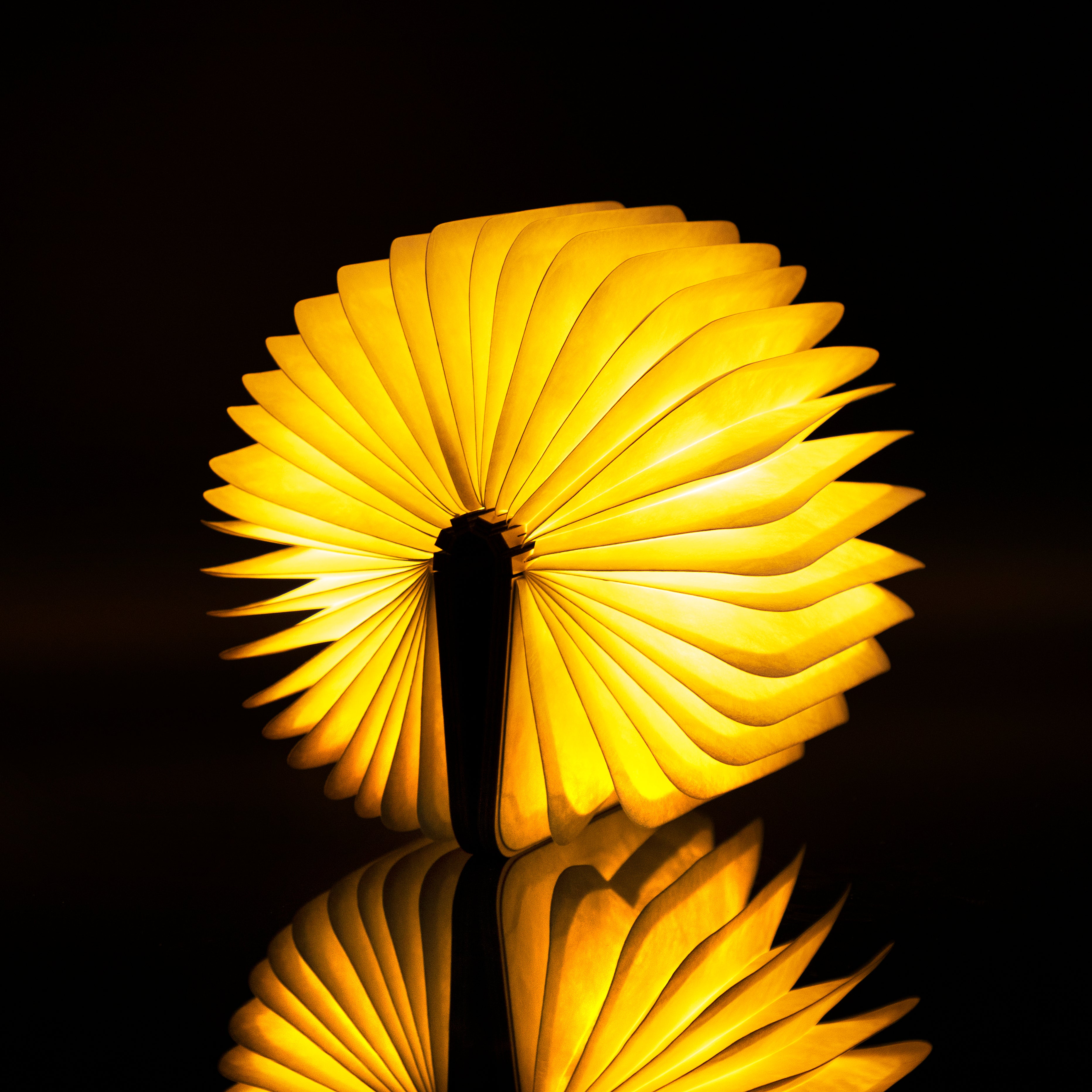 Maple Small Book Light