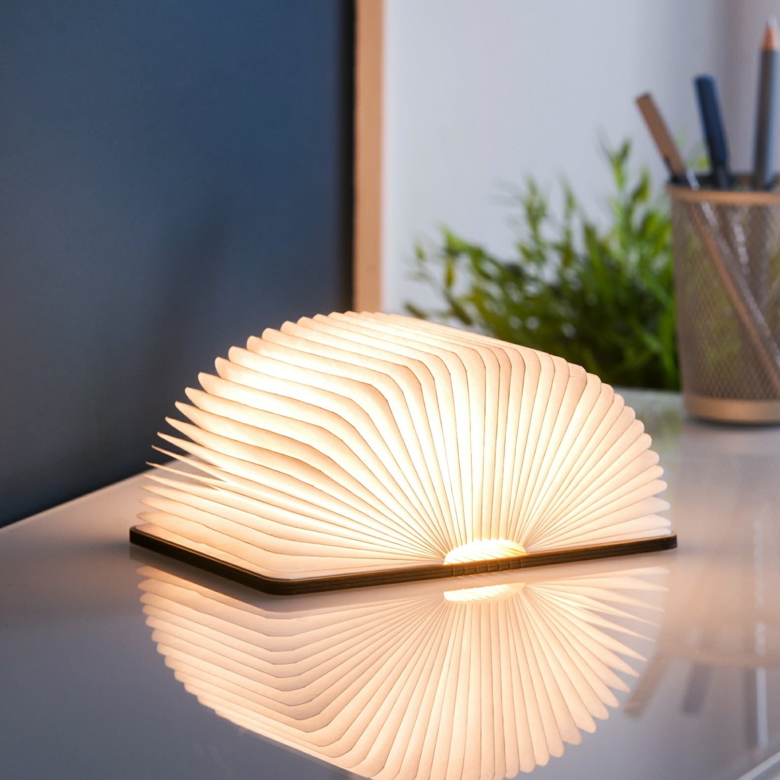 Maple Small Book Light