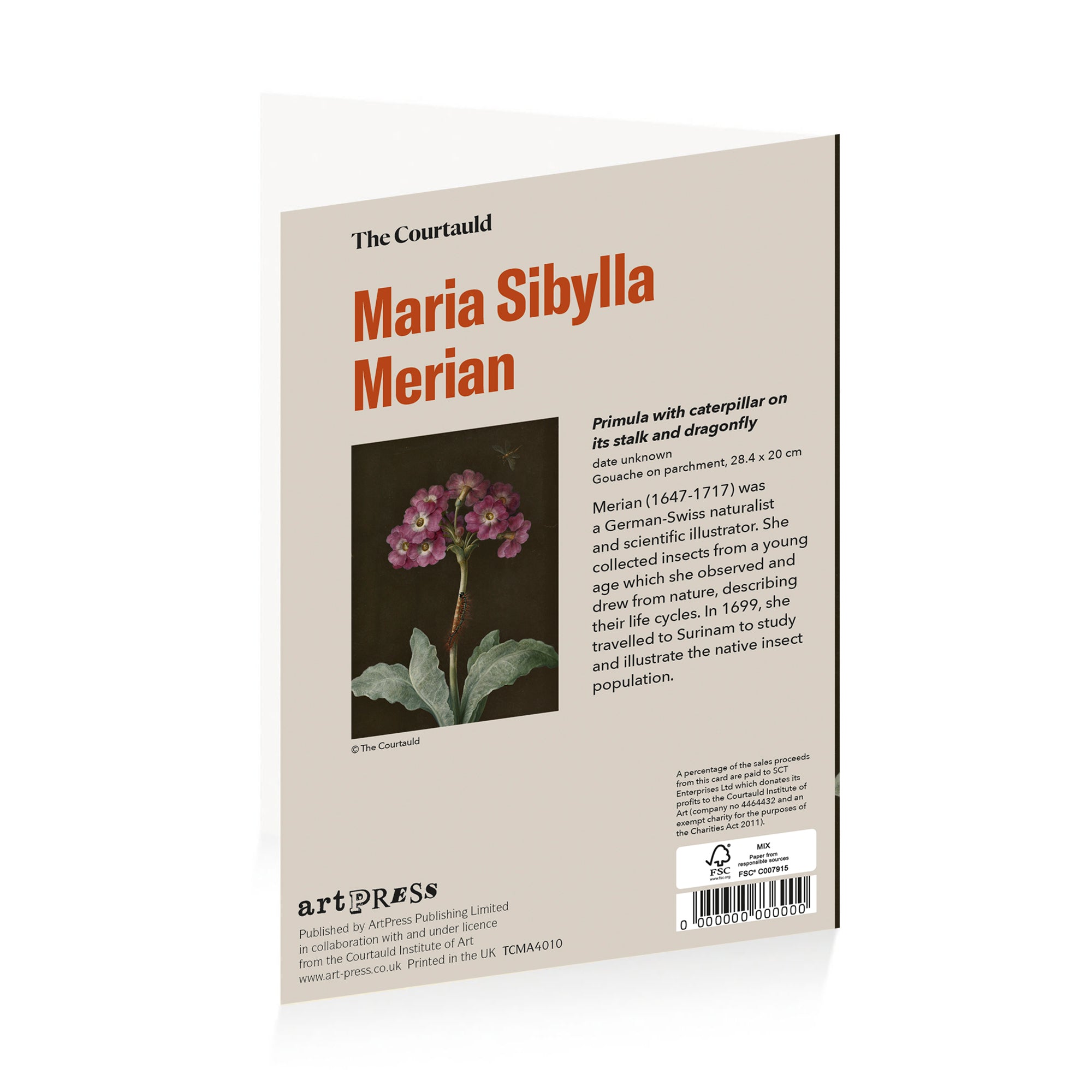 Merian Primula Greetings Card
