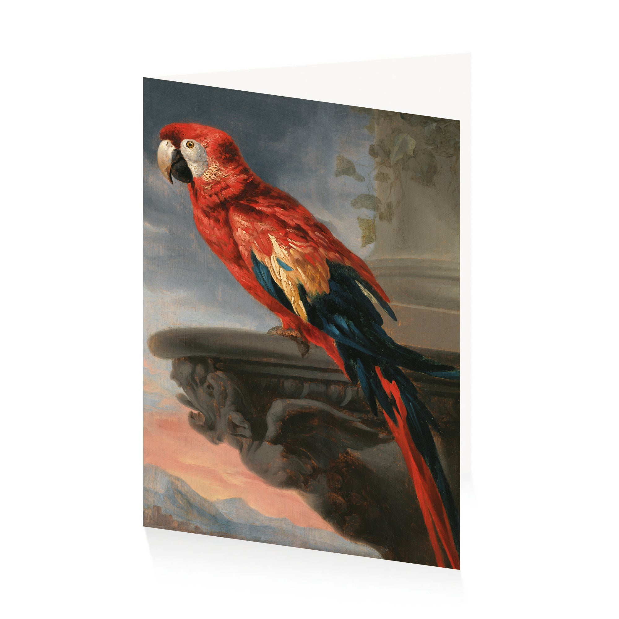 Rubens Parrot Greetings Card