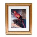 Framed Print Rubens Parrot