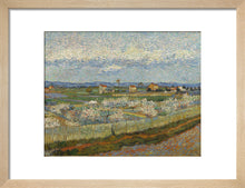 Load image into Gallery viewer, Vincent van Gogh, Peach Trees, Framed, Black, Small
