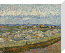 Load image into Gallery viewer, Vincent van Gogh, Peach Trees, Framed, Black, Small
