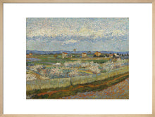 Load image into Gallery viewer, Vincent van Gogh, Peach Trees, Framed, Black, Small

