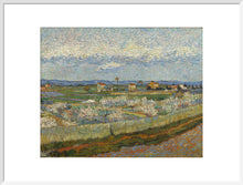 Load image into Gallery viewer, Vincent van Gogh, Peach Trees, Framed, Black, Small
