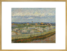 Load image into Gallery viewer, Vincent van Gogh, Peach Trees, Framed, Black, Small

