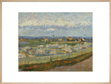 Load image into Gallery viewer, Vincent van Gogh, Peach Trees, Framed, Black, Small
