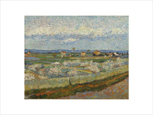 Load image into Gallery viewer, Vincent van Gogh, Peach Trees, Framed, Black, Small
