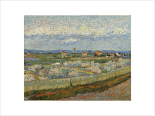 Load image into Gallery viewer, Vincent van Gogh, Peach Trees, Framed, Black, Small
